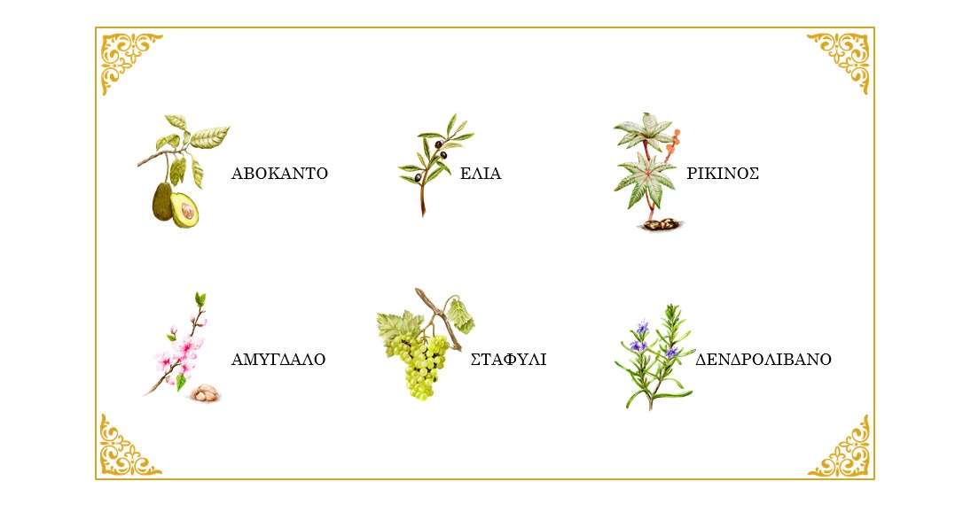 Aura kritis - natural cosmetics from Creatan land